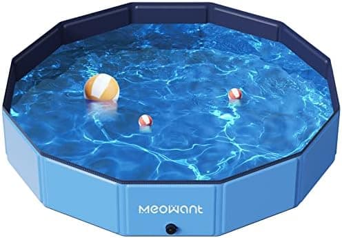 Migliori piscine pieghevoli per cani in pvc robusto e antigraffio da giardino
