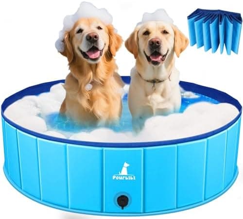 Migliori piscine pieghevoli per cani da giardino
